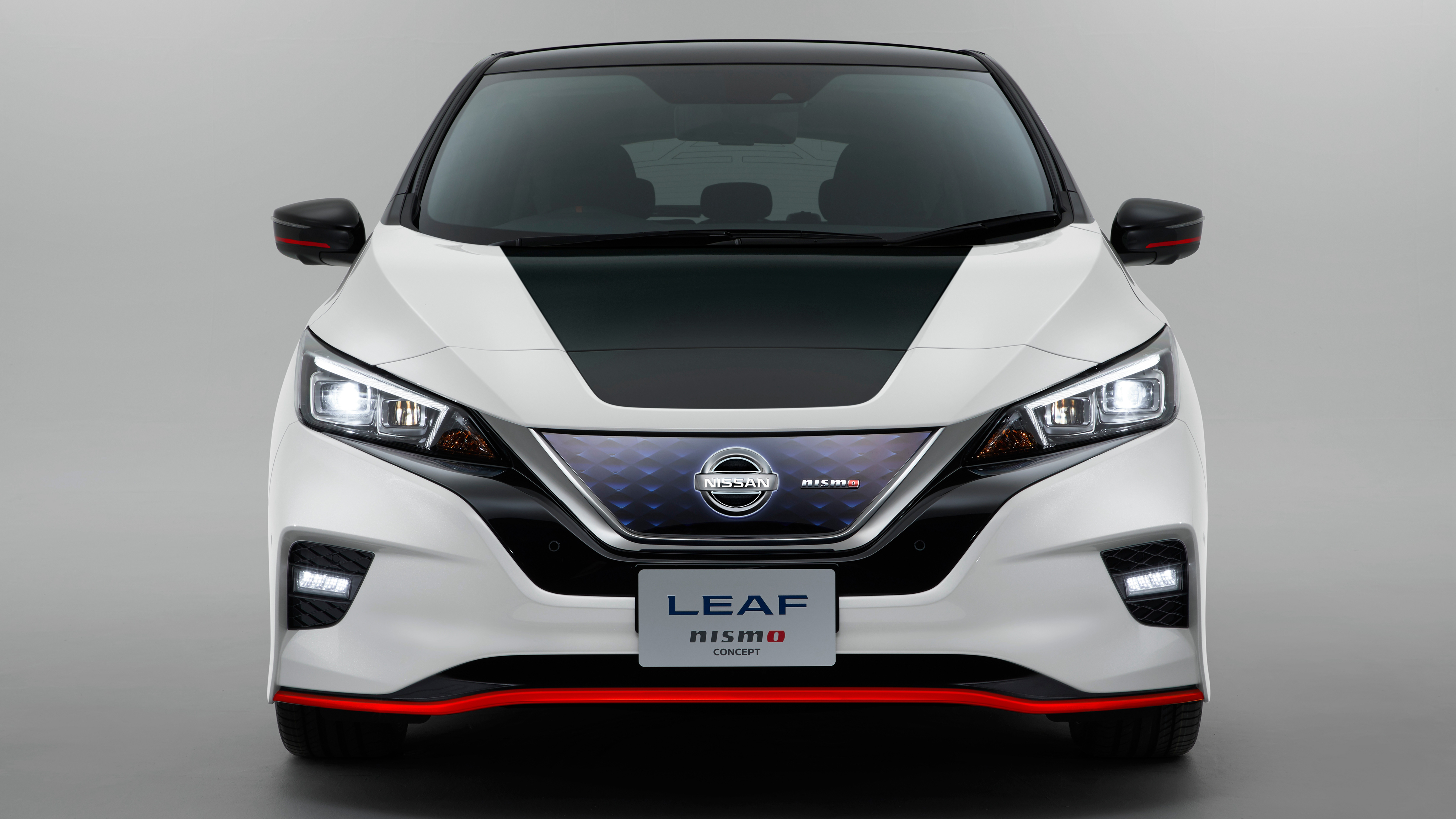 Nissan Leaf 4k photo
