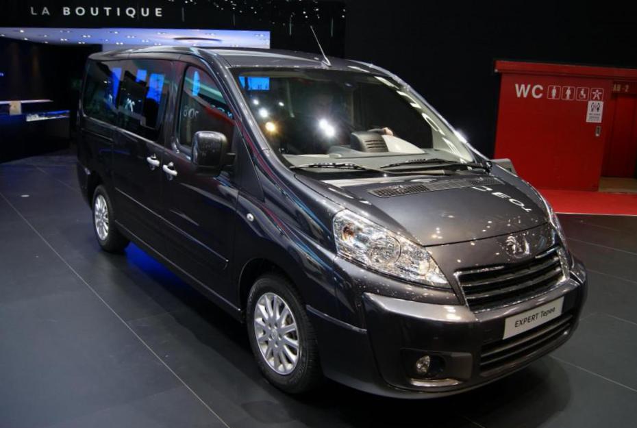 Rear view of Peugeot Expert Tepee 2012