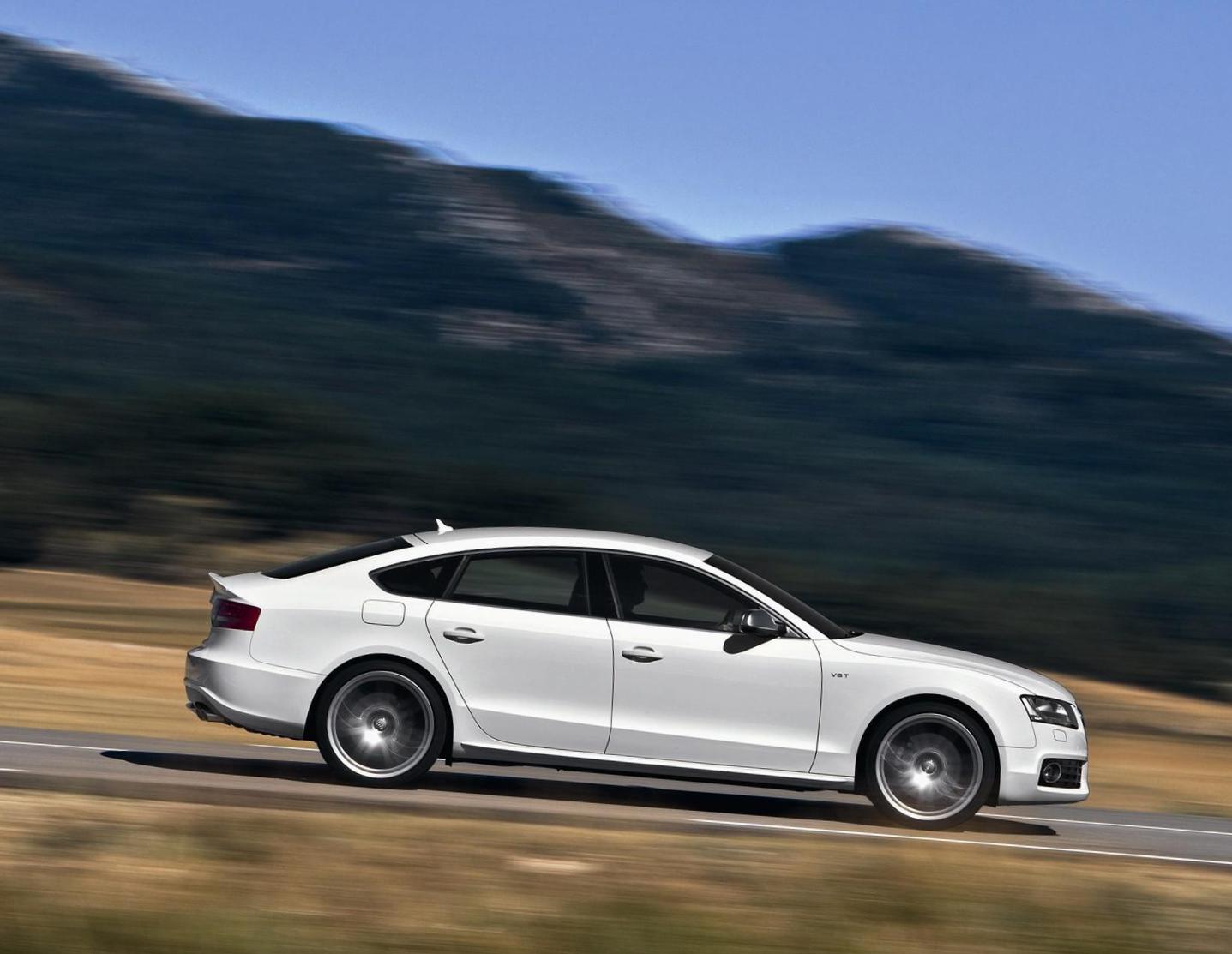 Rear view of Audi S5 Sportback 2011