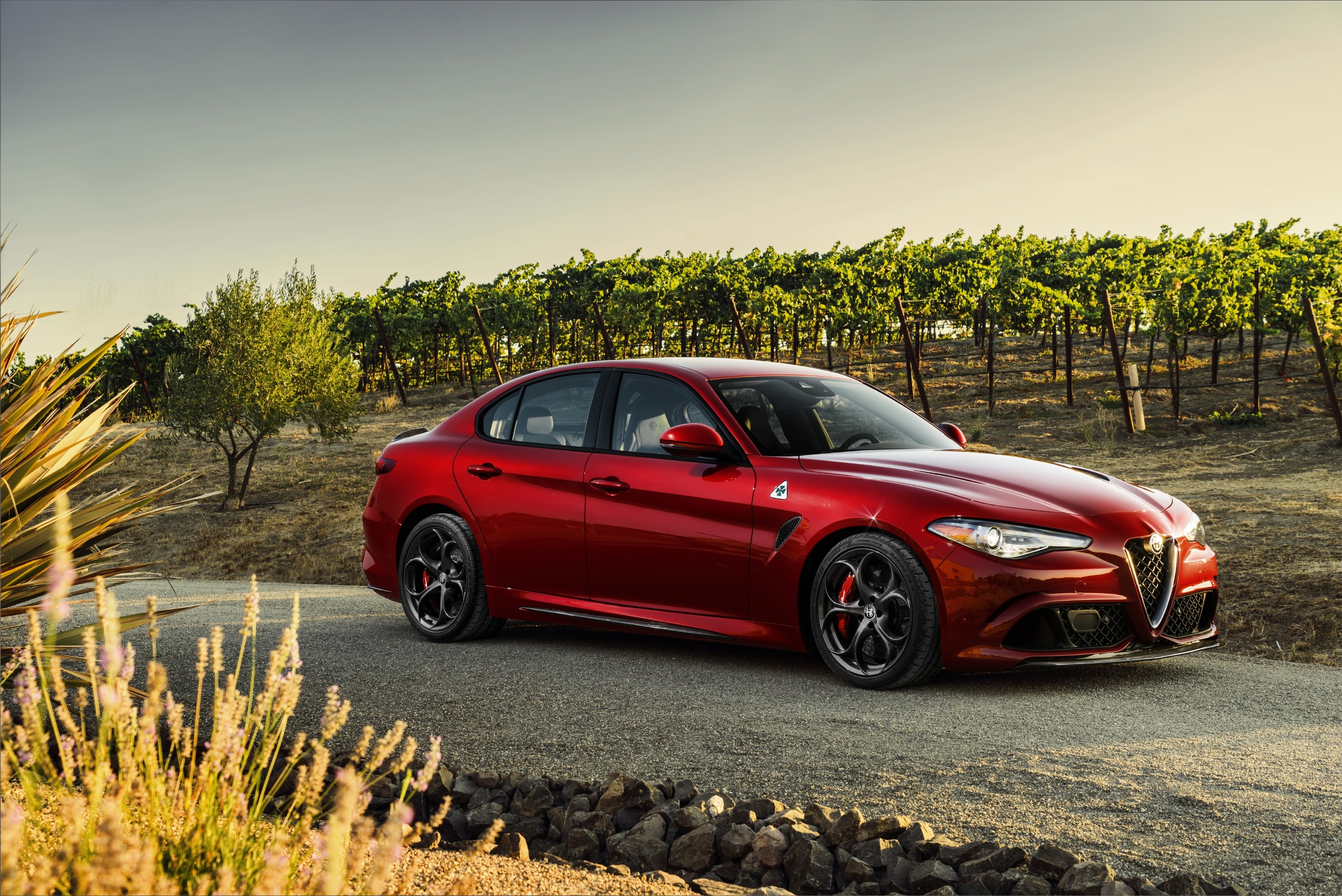 Alfa Romeo Giulia modern model