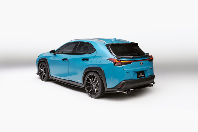 Lexus UX 250h accessories photo