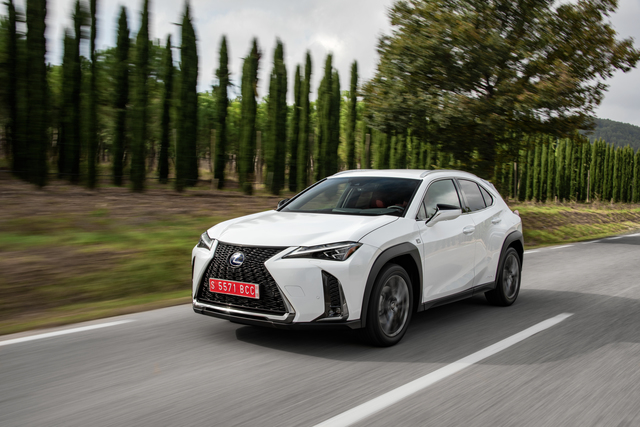 Lexus UX 250h modern big