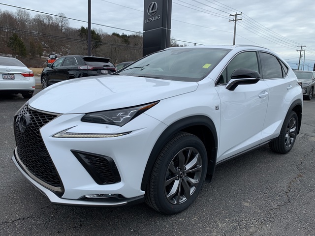 Lexus NX 300h mod big