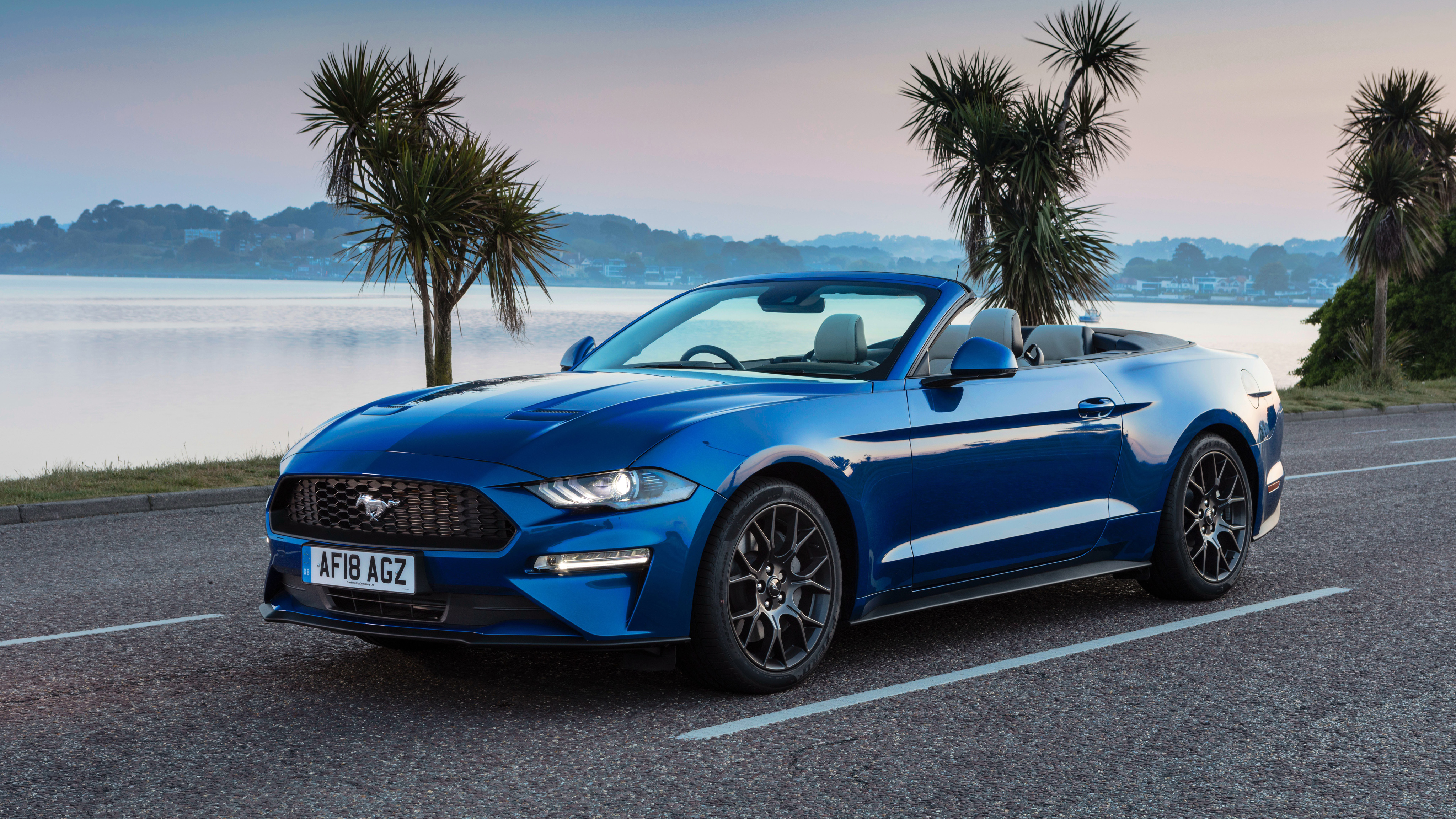 Ford Mustang Convertible modern photo