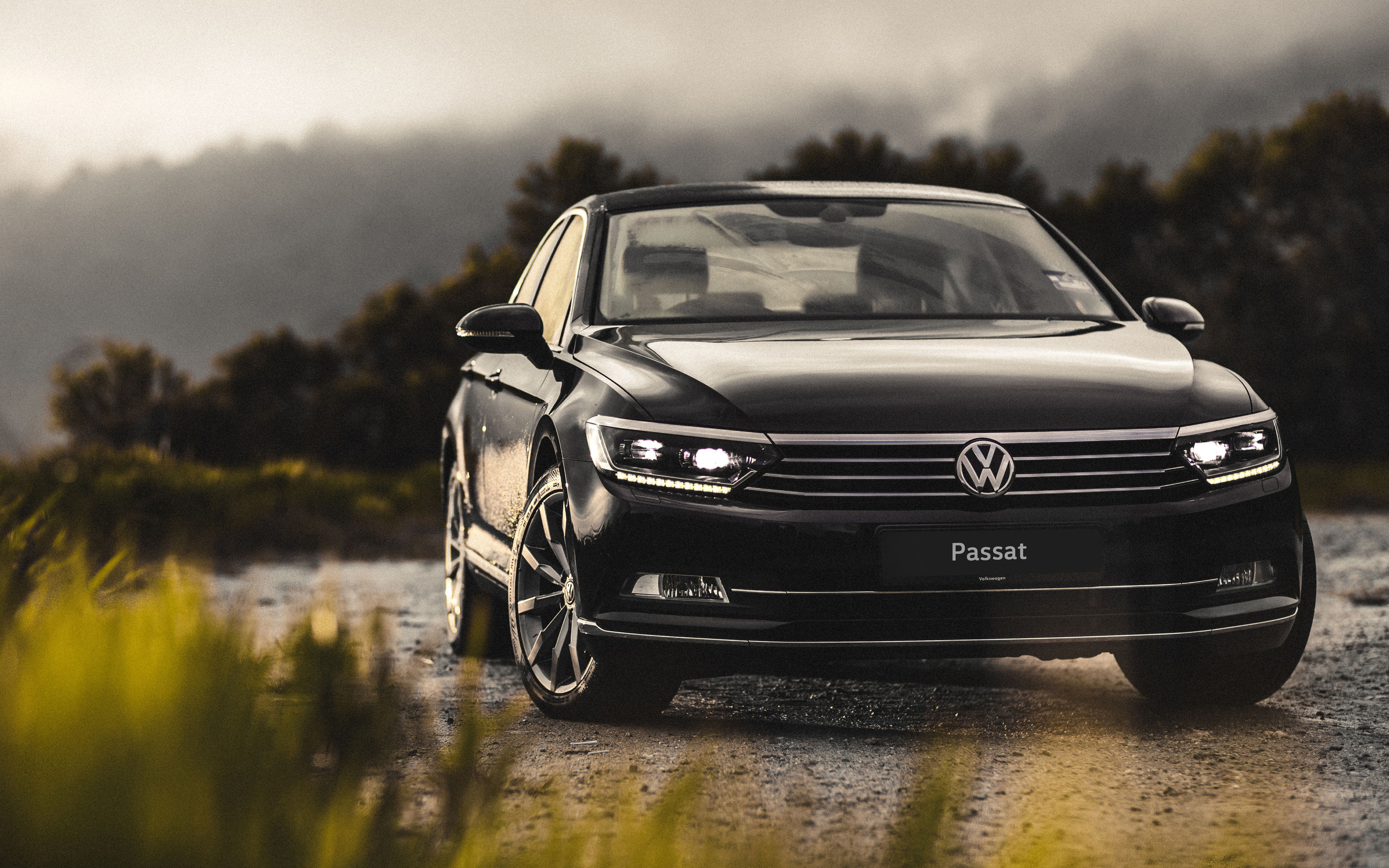Volkswagen Passat exterior model