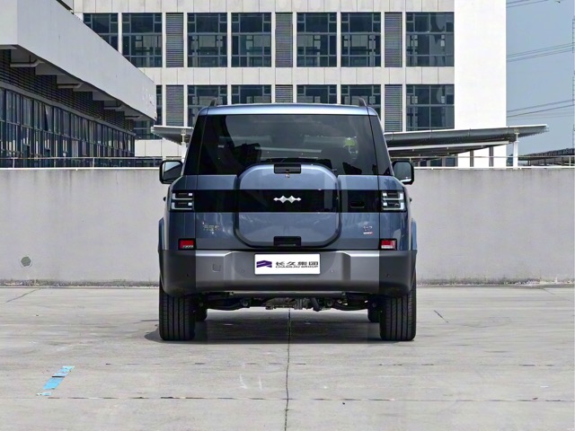 Grey 2025 BYD Leopard 7 SUV shown from the rear with a rear-mounted spare wheel cover outdoors.
