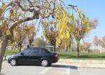 Saipa Tiba spec Saipa Tiba spec 2012