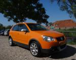 Cross Polo Volkswagen cost Cross Polo Volkswagen cost 2010