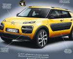 C4 Cactus Citroen sale C4 Cactus Citroen sale 2008