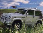 Niva 2121   auto Niva 2121   auto 2012