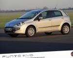 Fiat Punto Evo 5 doors cost Fiat Punto Evo 5 doors cost 2012