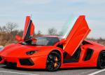 Lamborghini Aventador LP700-4 how mach Lamborghini Aventador LP700-4 how mach 2009