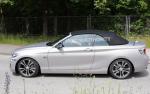 2 Series Convertible (F23) BMW Characteristics 2 Series Convertible (F23) BMW Characteristics 2010