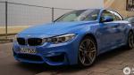 BMW M4 Convertible (F83) sale BMW M4 Convertible (F83) sale 2009