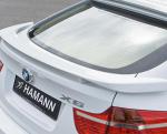 X6 (E71) BMW model X6 (E71) BMW model 2010