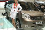 Cowry Great Wall sale Cowry Great Wall sale pickup