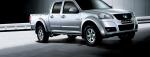 Florid Great Wall Characteristics Florid Great Wall Characteristics pickup