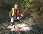 Great Wall Deer prices Great Wall Deer prices 2005